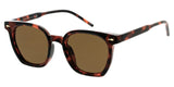 Item: 81013 Unisex Plastic Large Hipster Square Frame