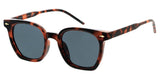 Item: 81013 Unisex Plastic Large Hipster Square Frame