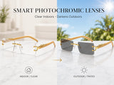 Item: EP7002 Photochromic