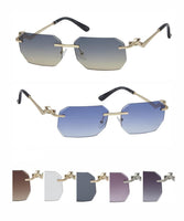 Item: F5483 Fashins Unisex Sunglasses