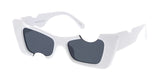Item: 80358 Women's Plastic Medium Rectangular Cat Eye Frame w/ Cut Outs